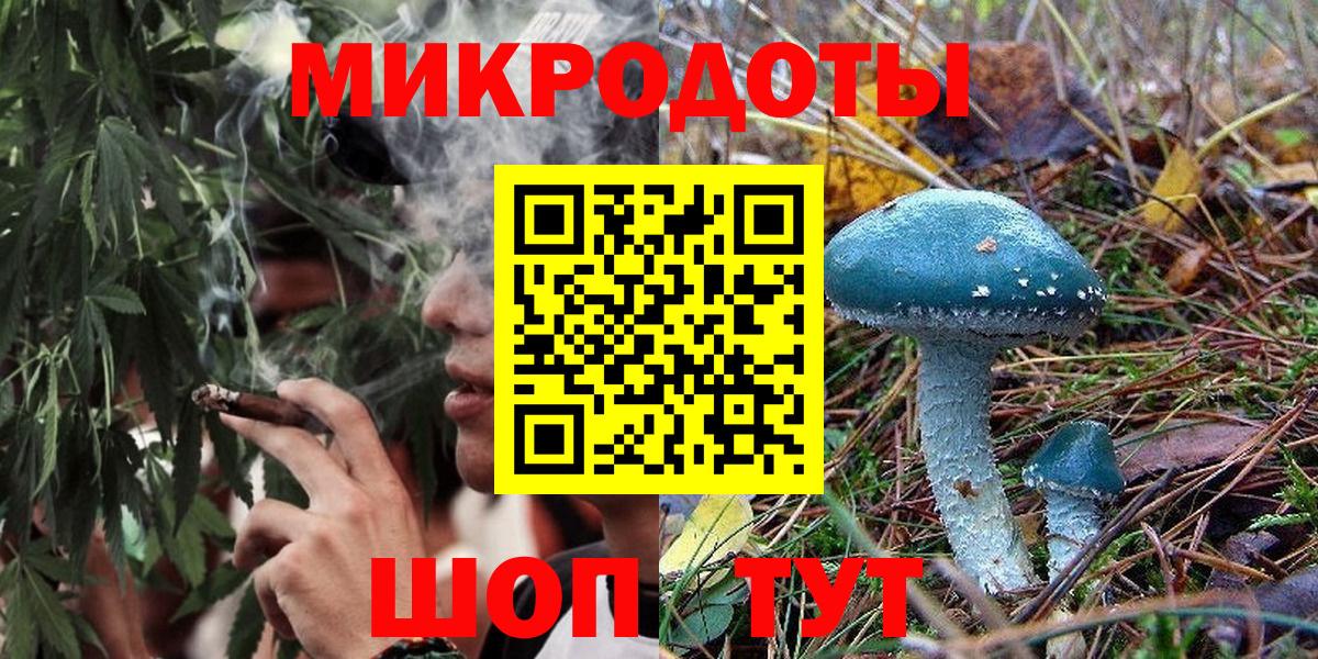 Галлюциногенные грибы Cubensis  Вход с VPN  Сокол 
